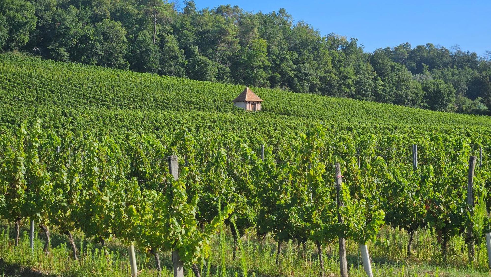 Chambres Et Gites Les Deux Chenes Pres De Bergerac Le Fleix Buitenkant foto