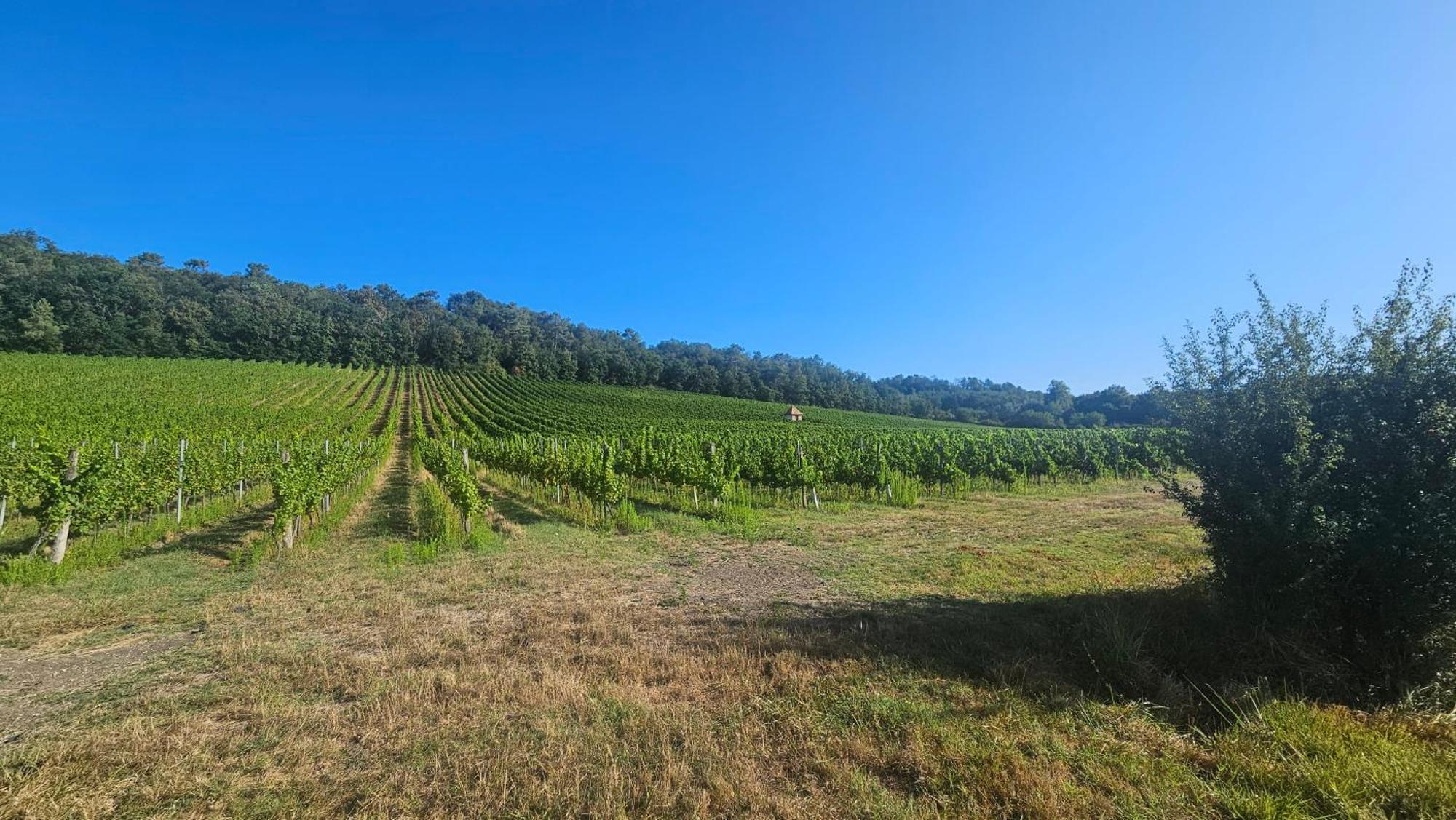 Chambres Et Gites Les Deux Chenes Pres De Bergerac Le Fleix Buitenkant foto